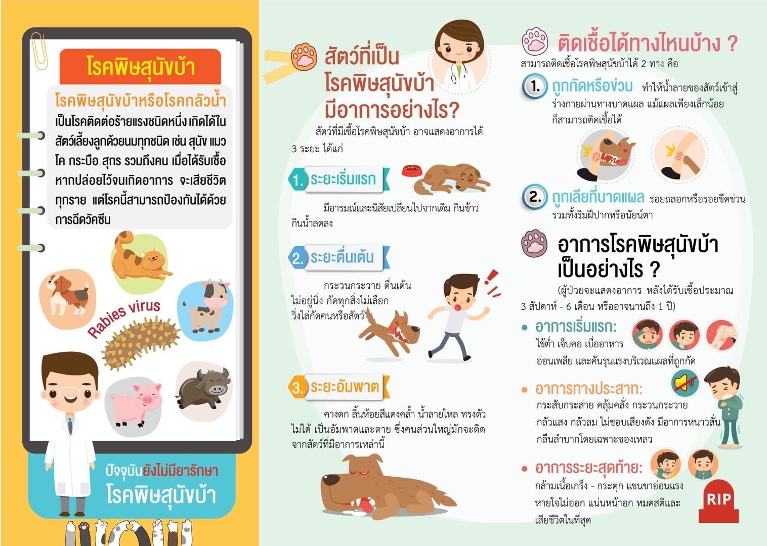 โรคพิษสุนัขบ้า (Rabies)